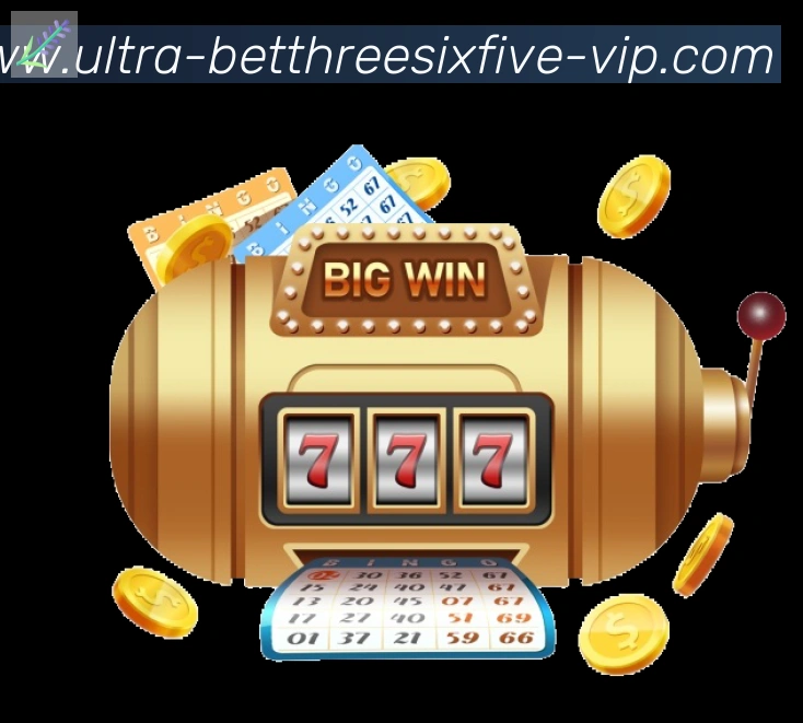 bet365在线体育APP 封面图